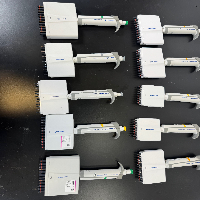 Eppendorf Research Plus Multichannel Pipettes - Quantity 10 image 2